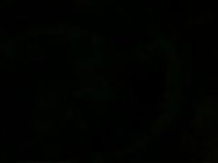 Тигр и Джеймс Джонс